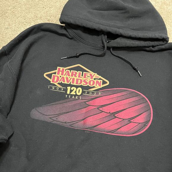 Harley Davidson 120th Anniversary Black w/ Red Hoodie Sweatshirt Large - Picture 3 of 7